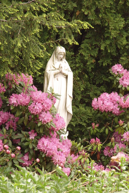 Rose Garden Madonna